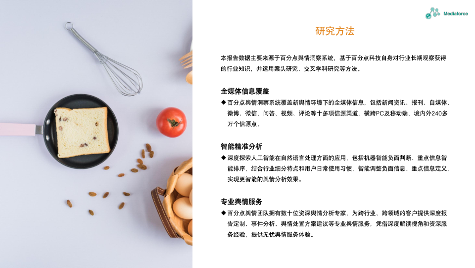 报告页面3