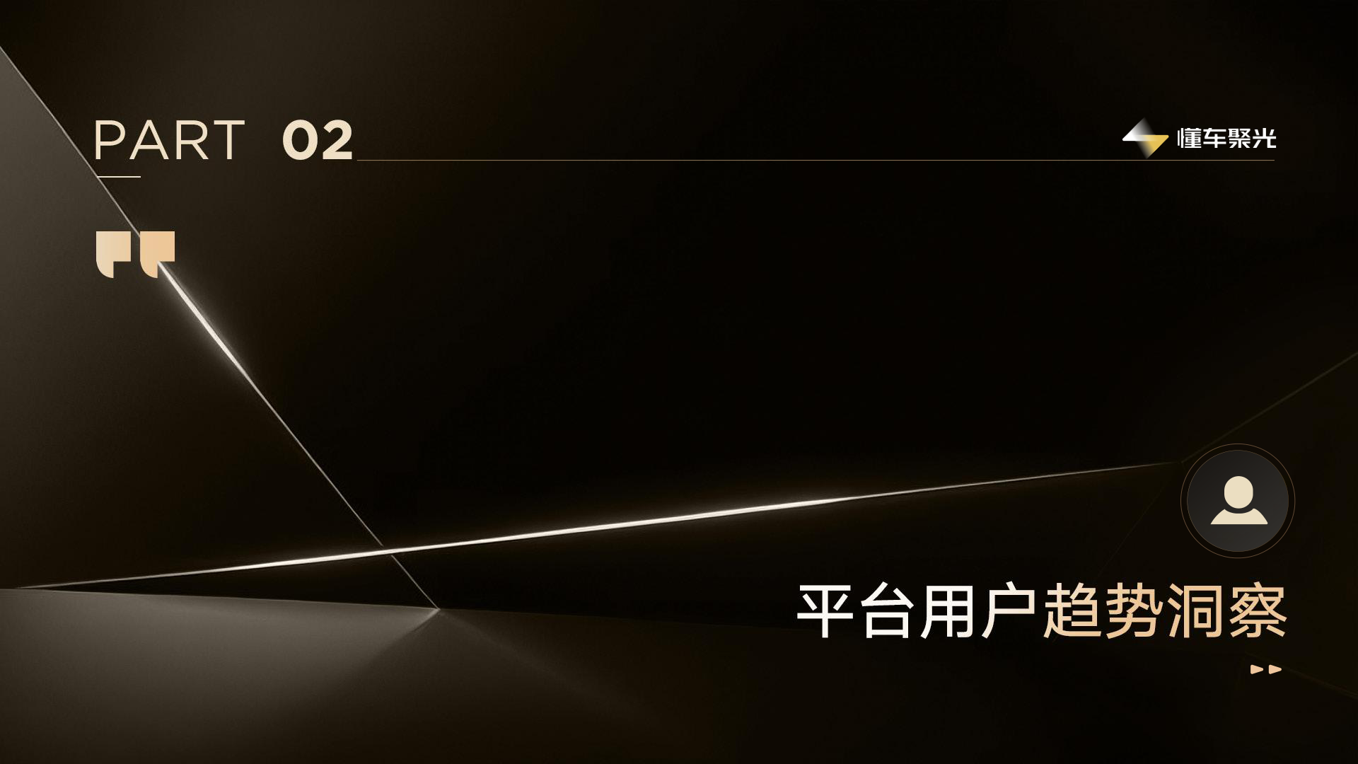 报告页面10