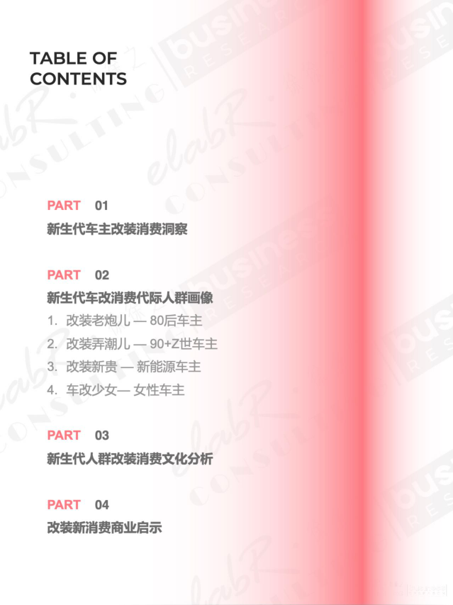 报告页面3