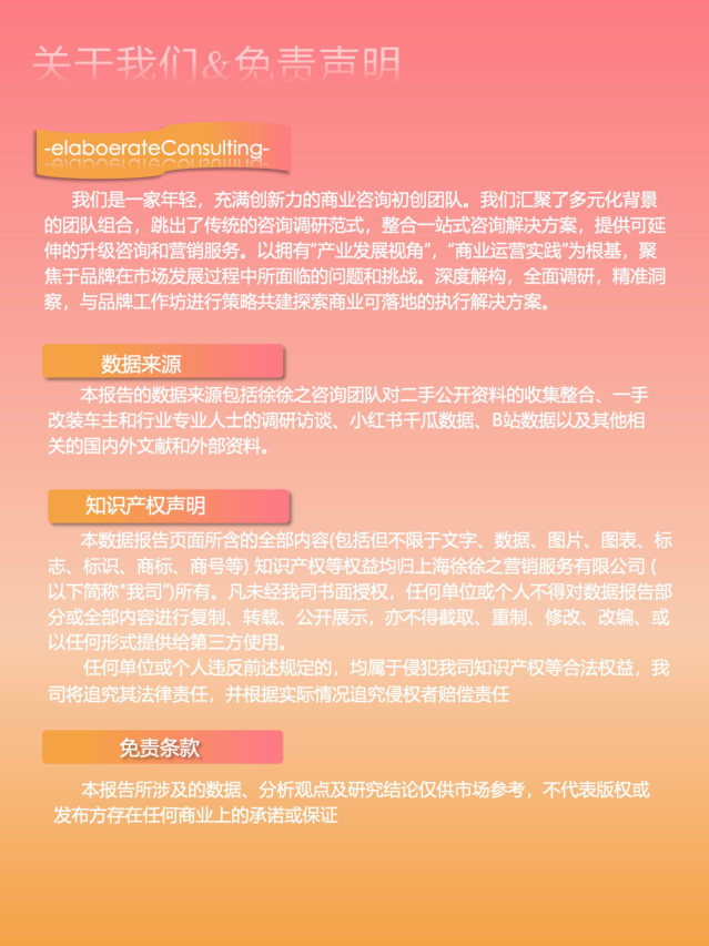 报告页面26