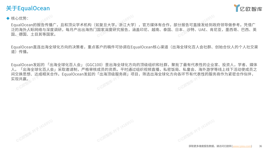 报告页面36