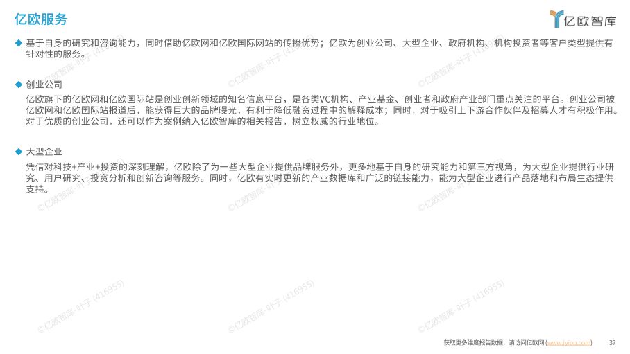 报告页面37