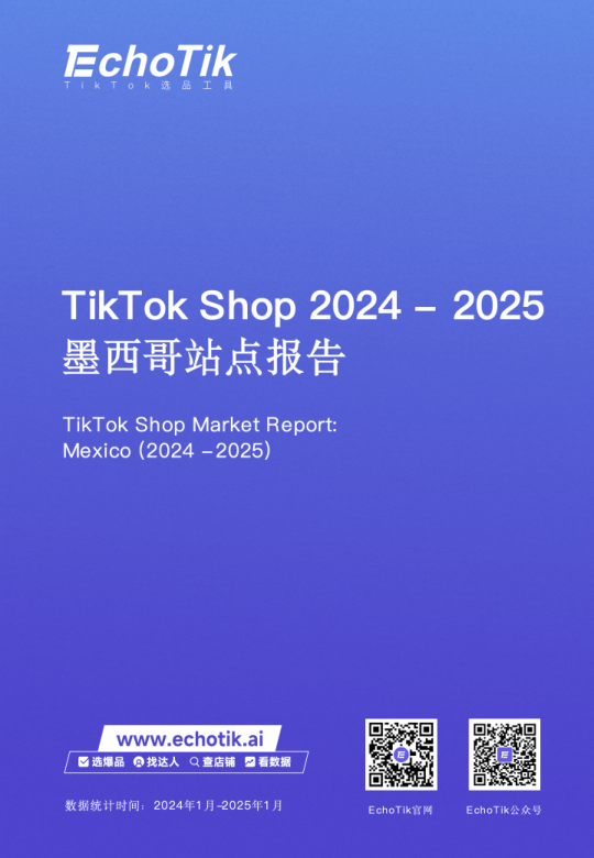 报告页面1