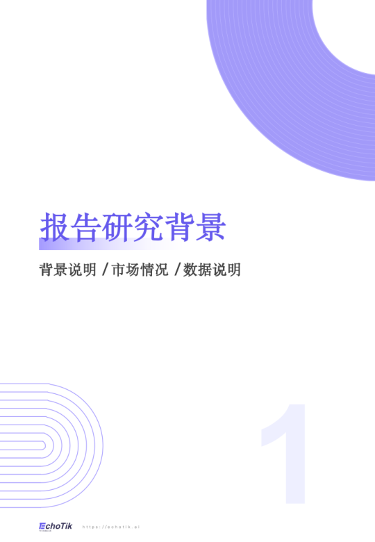 报告页面2