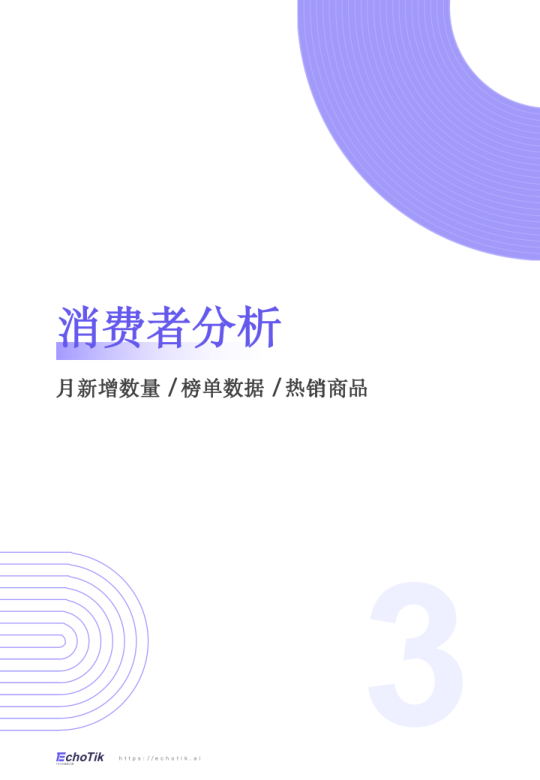 报告页面8