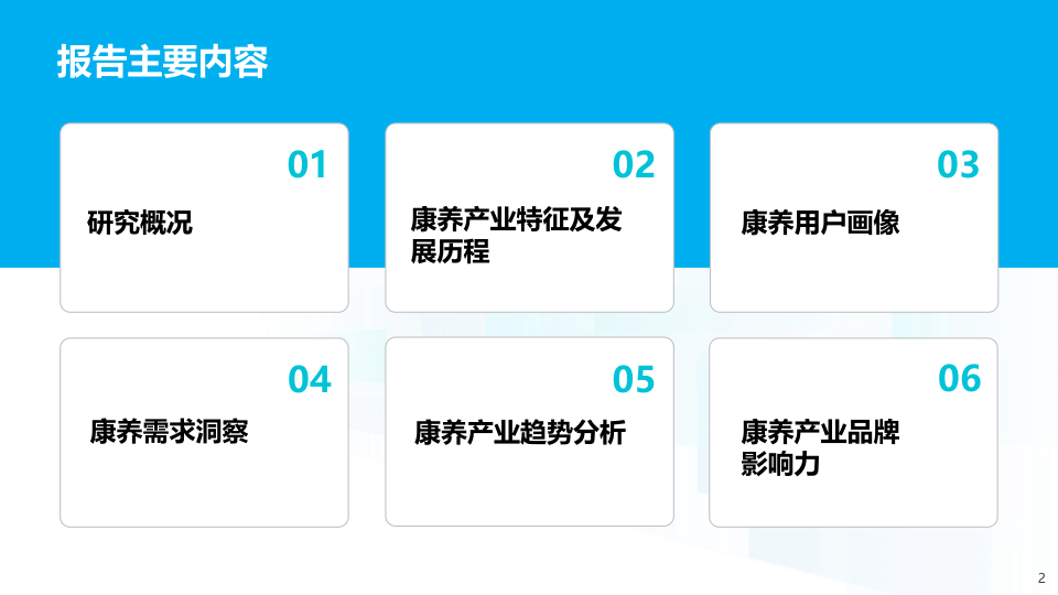 报告页面2