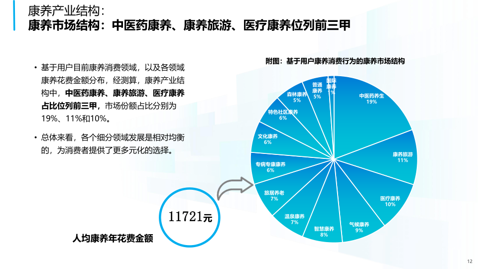 报告页面12