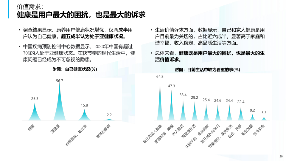 报告页面20