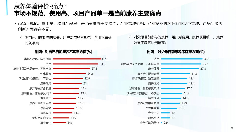 报告页面29