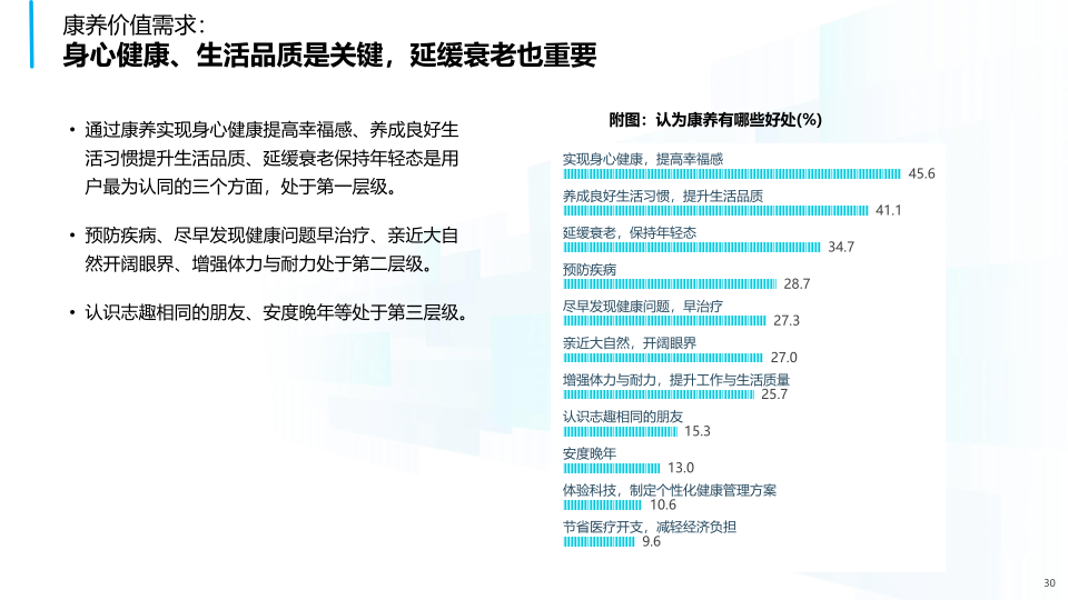 报告页面30