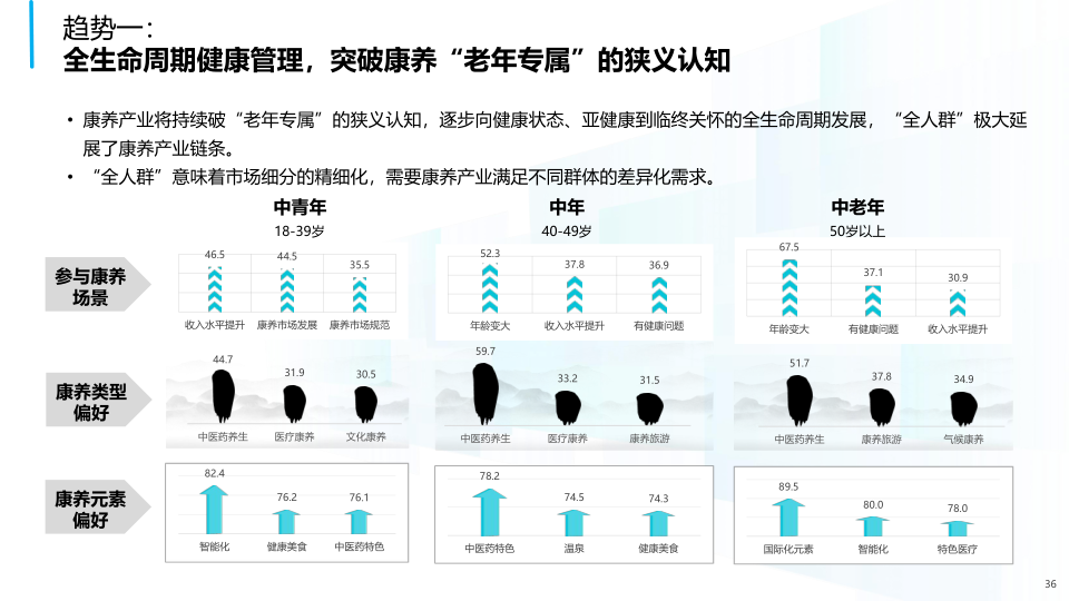 报告页面36