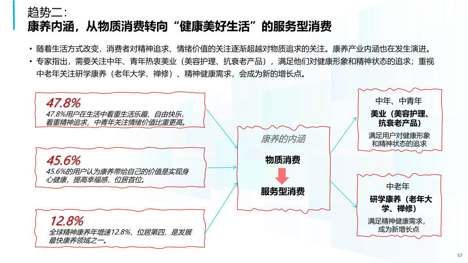 报告页面37