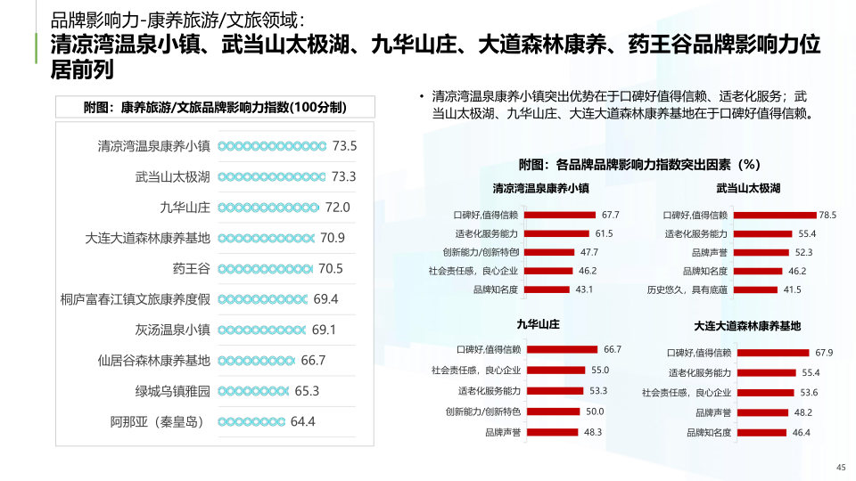 报告页面45