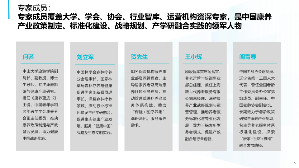 报告页面6