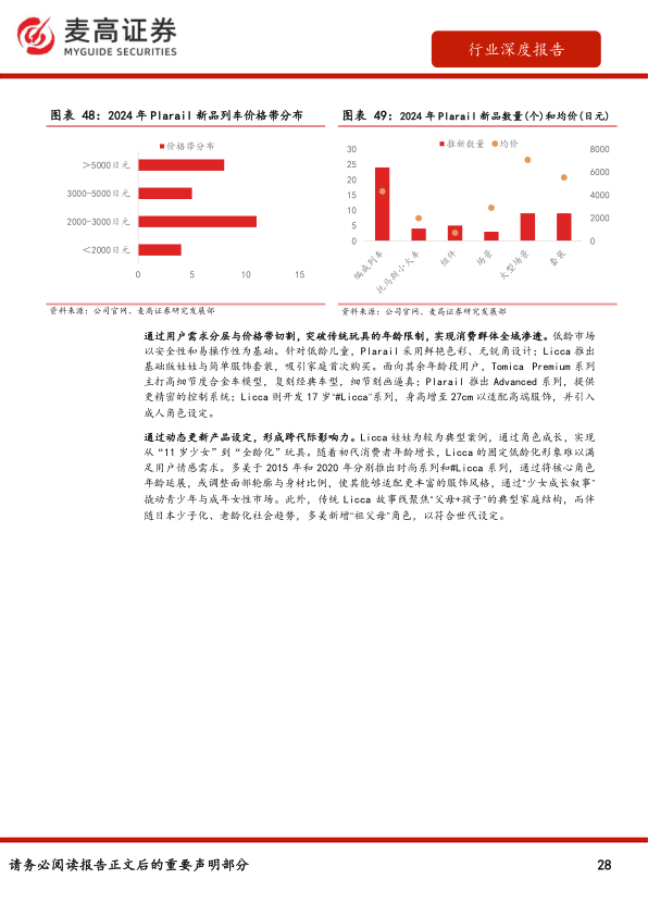 报告页面28