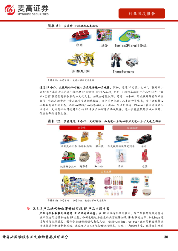 报告页面30