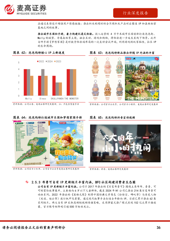 报告页面36