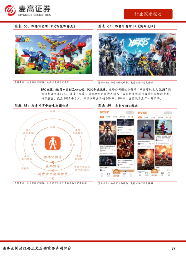 报告页面37