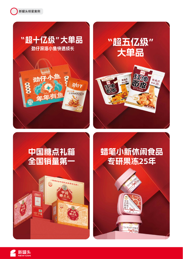 报告页面49
