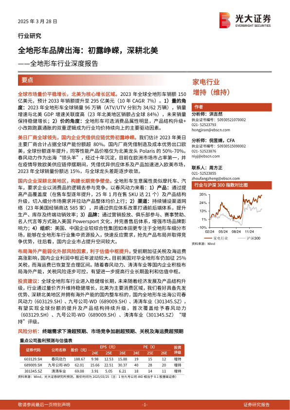 报告页面1