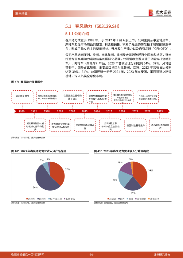 报告页面30