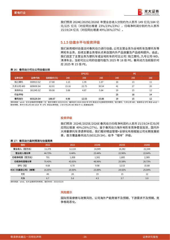 报告页面34