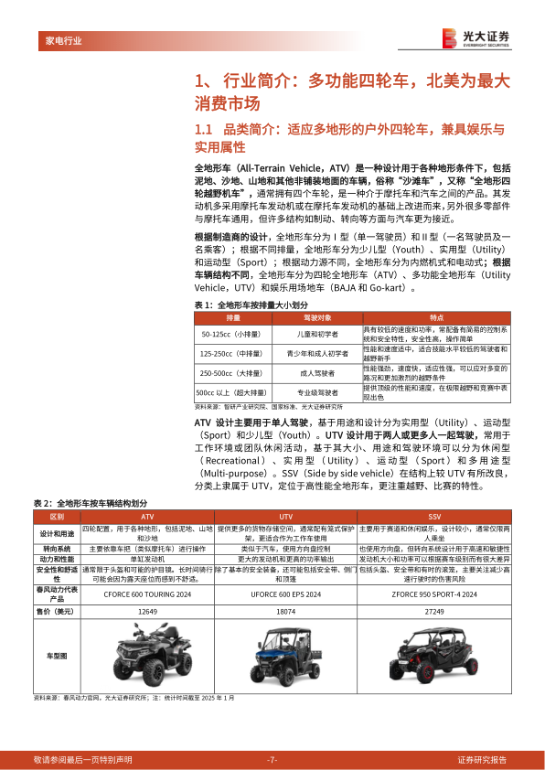 报告页面7