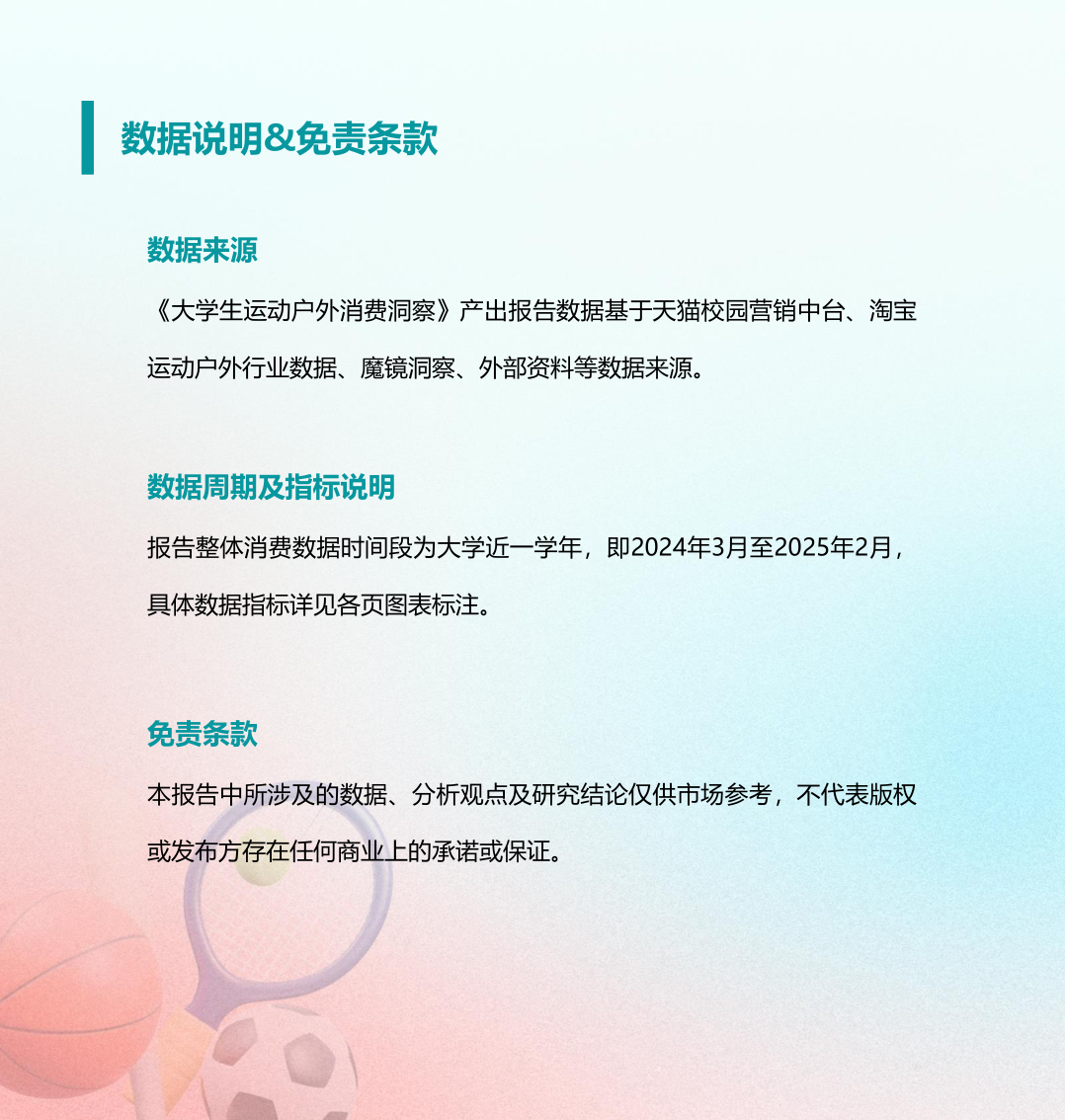 报告页面27