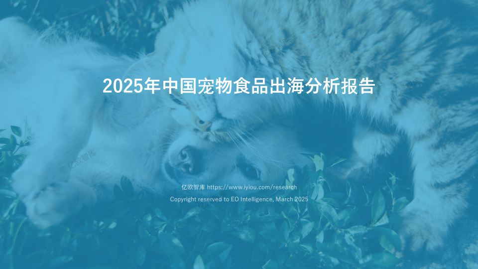 报告页面1