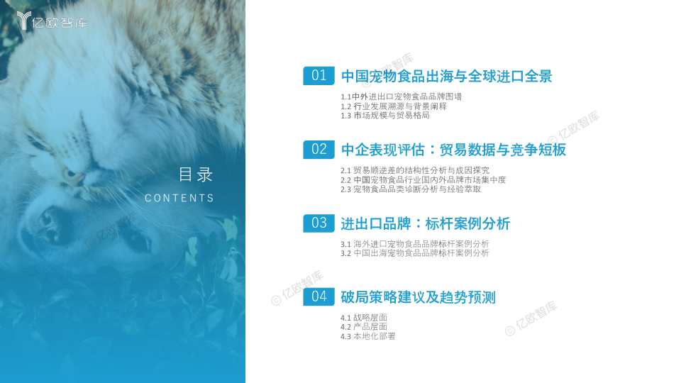 报告页面2