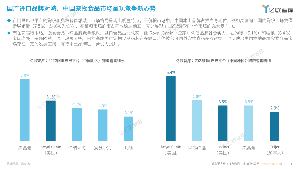 报告页面11
