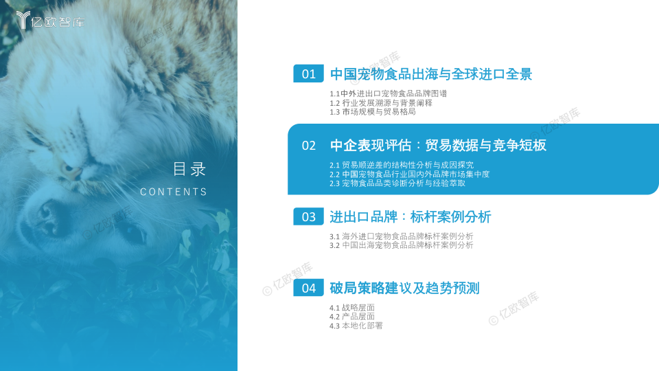 报告页面19