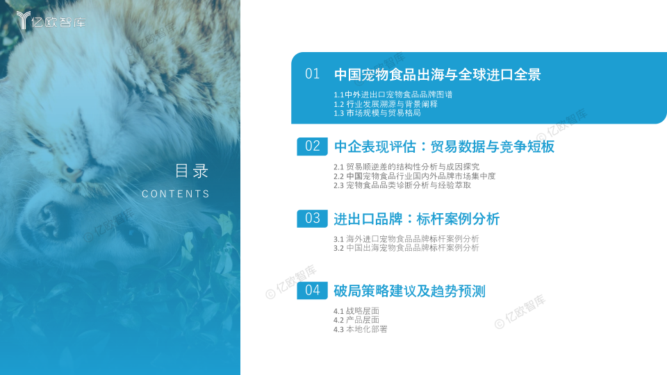 报告页面3