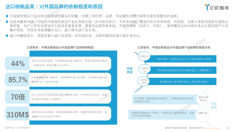 报告页面21