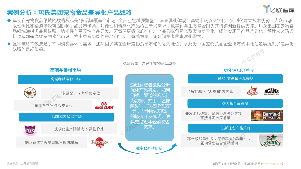 报告页面30
