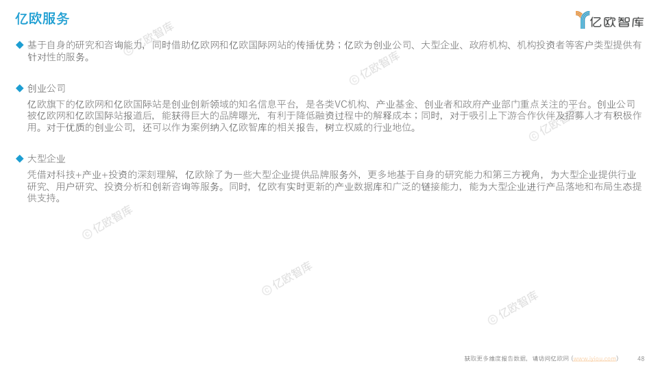 报告页面48