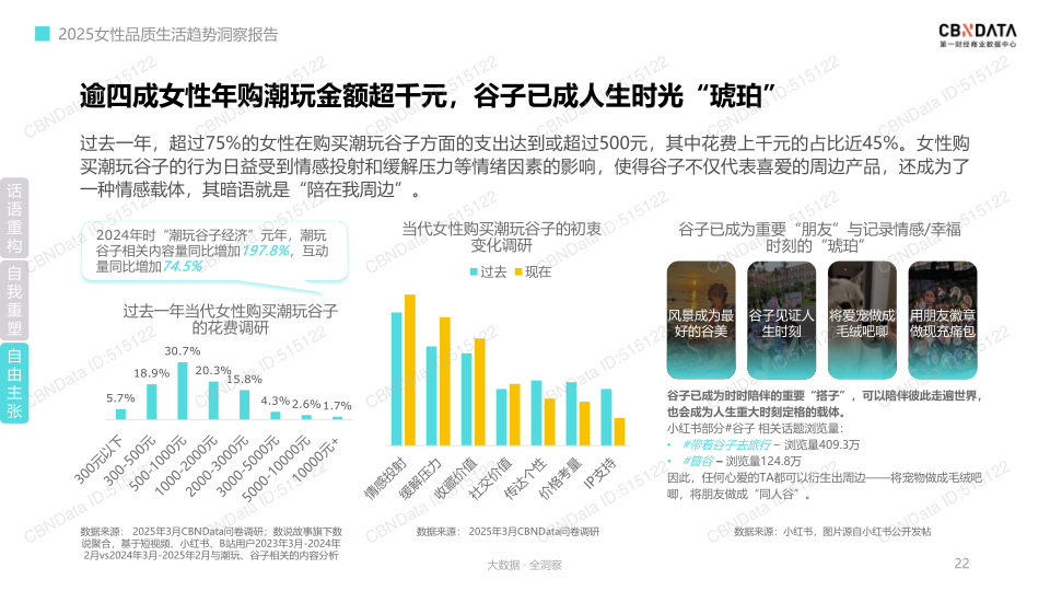 报告页面22