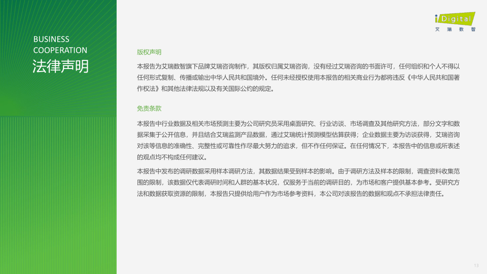 报告页面13