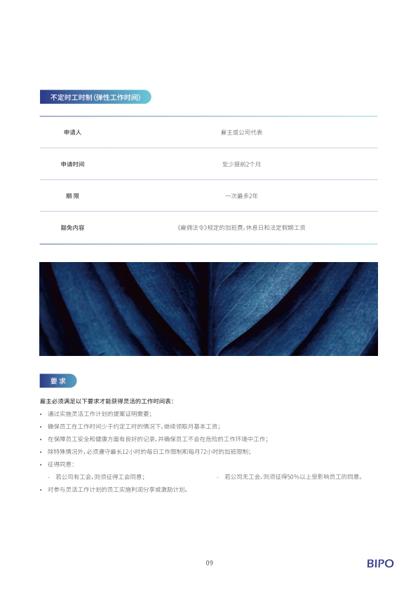 报告页面12