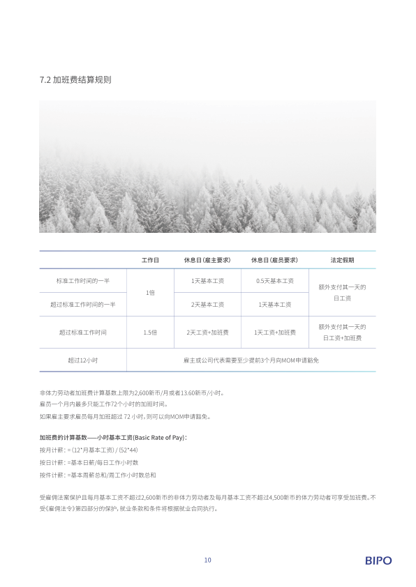 报告页面13