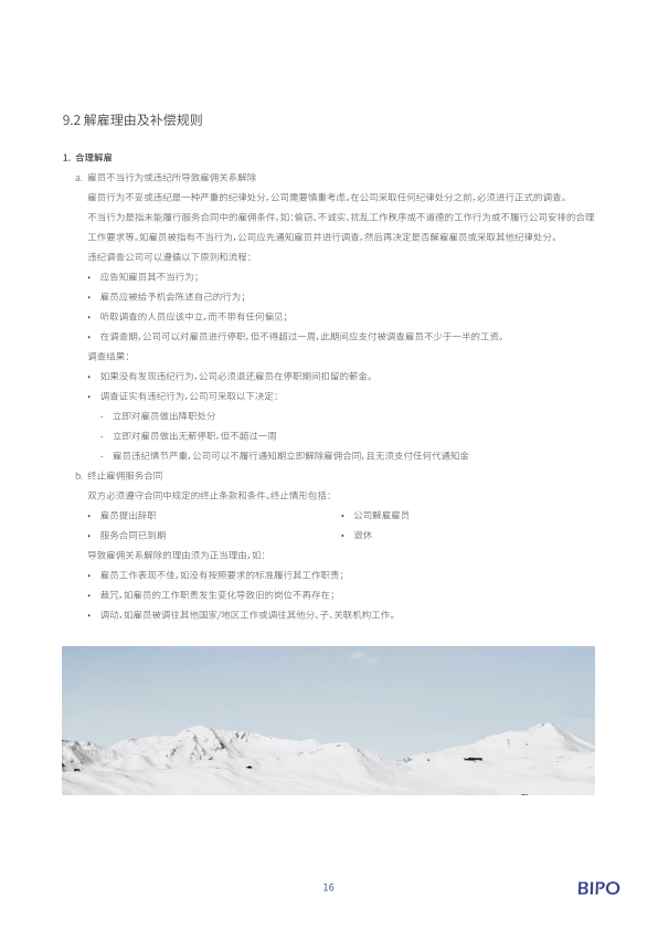 报告页面19