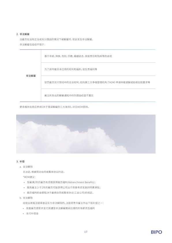 报告页面20