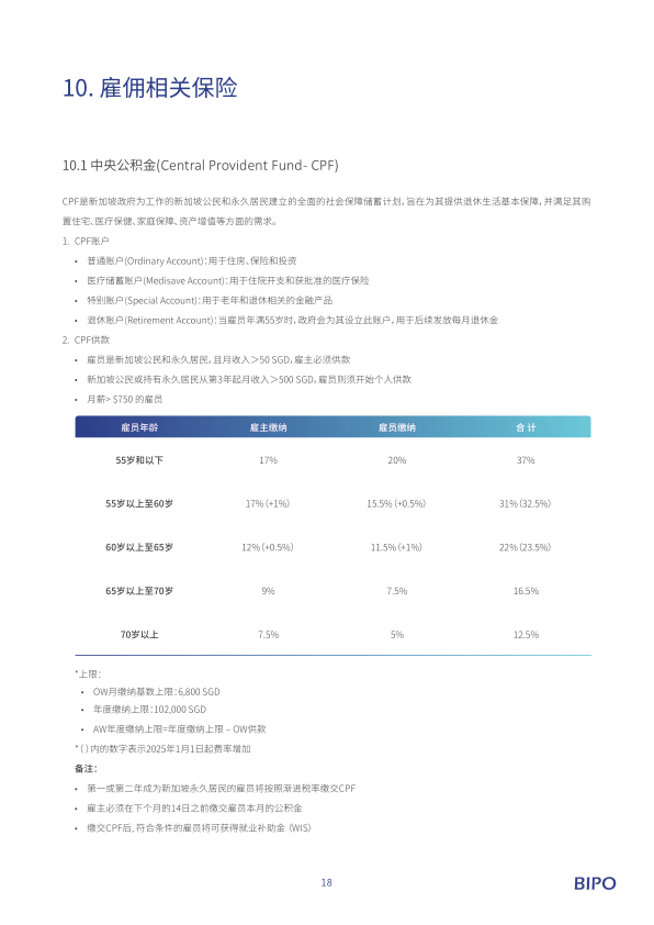 报告页面21