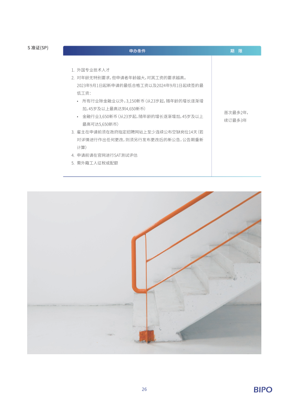 报告页面29