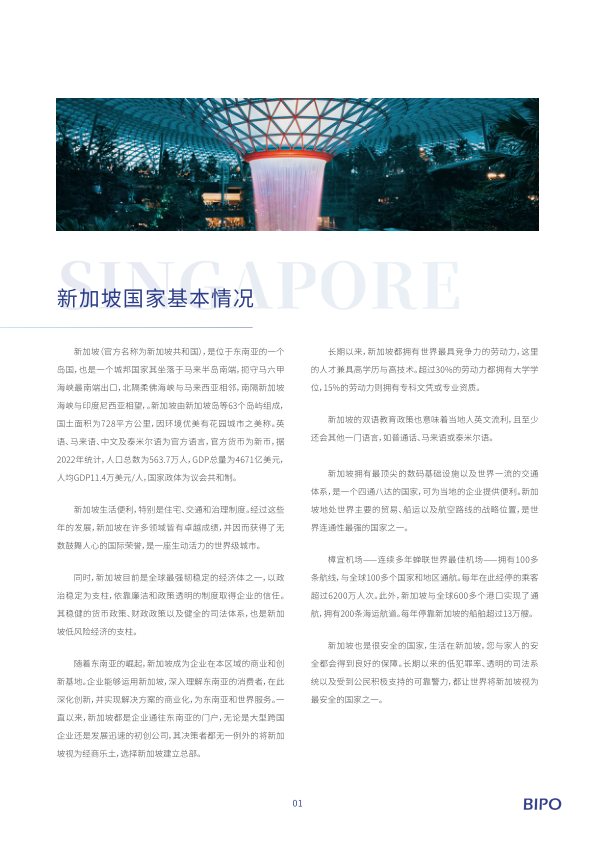 报告页面4