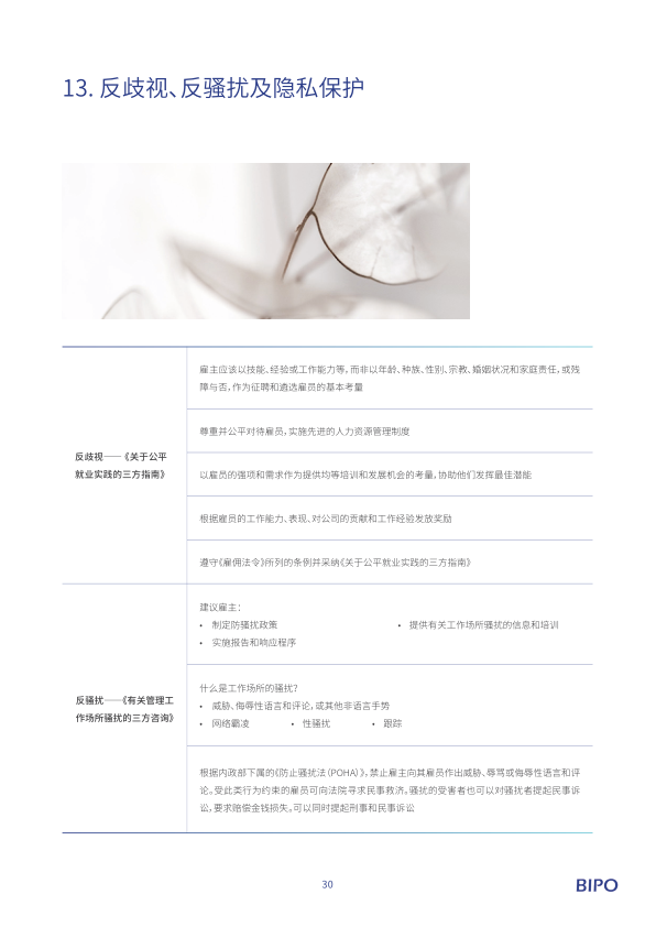报告页面33