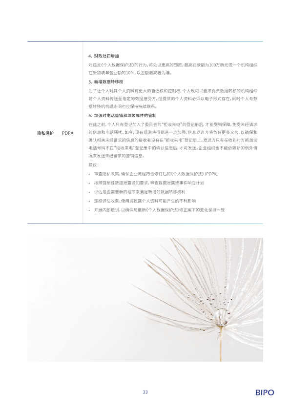 报告页面36