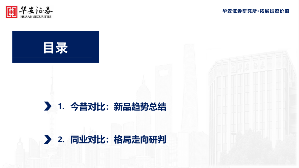 报告页面3