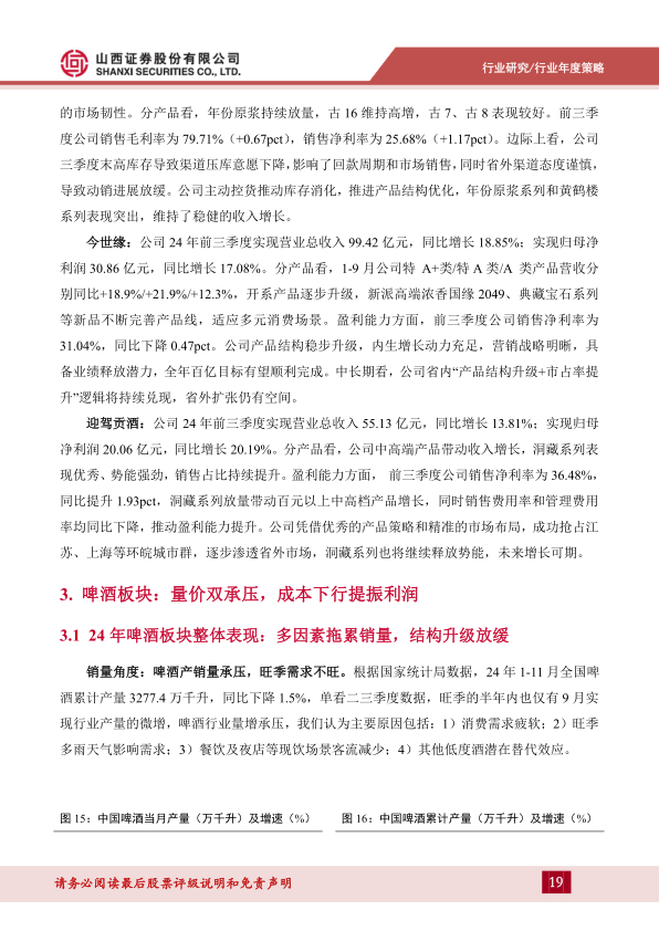 报告页面19