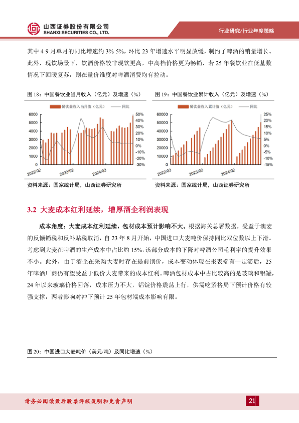 报告页面21